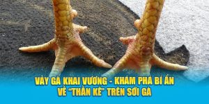 Top vảy gà quý hiếm được săn đón nhiều nhất hiện nay